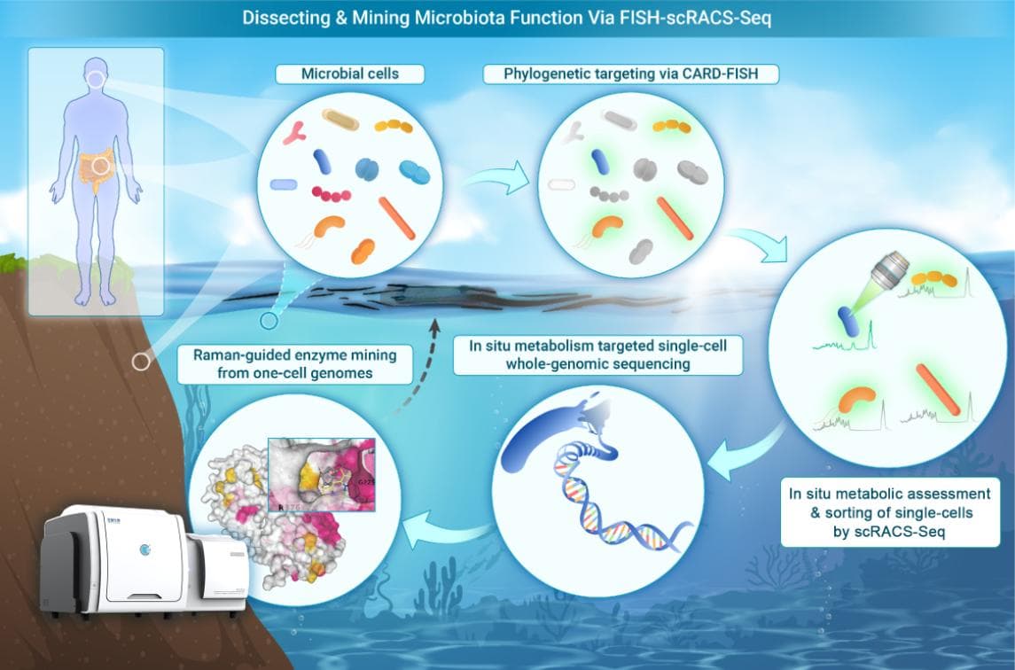 青岛能源所开发物种-代谢双靶向的微生物细胞及酶资源挖掘新技术