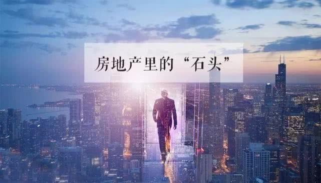 购房指南：从准备到入住的全流程