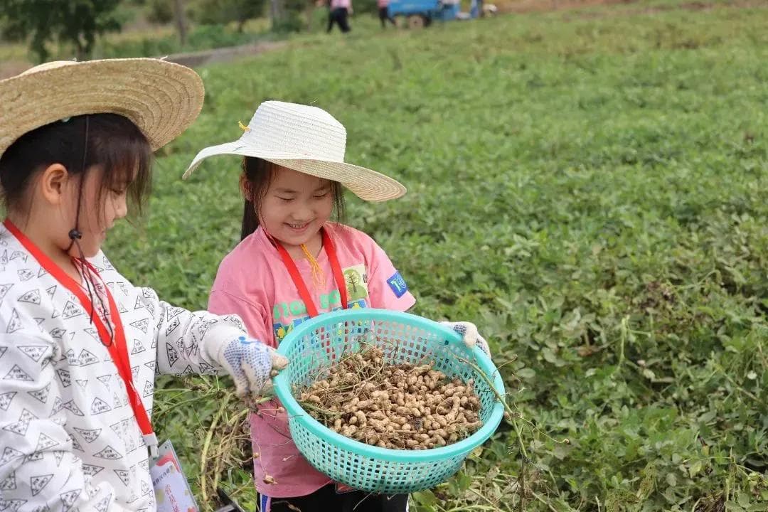 秋天的南京，也太好吃了吧！