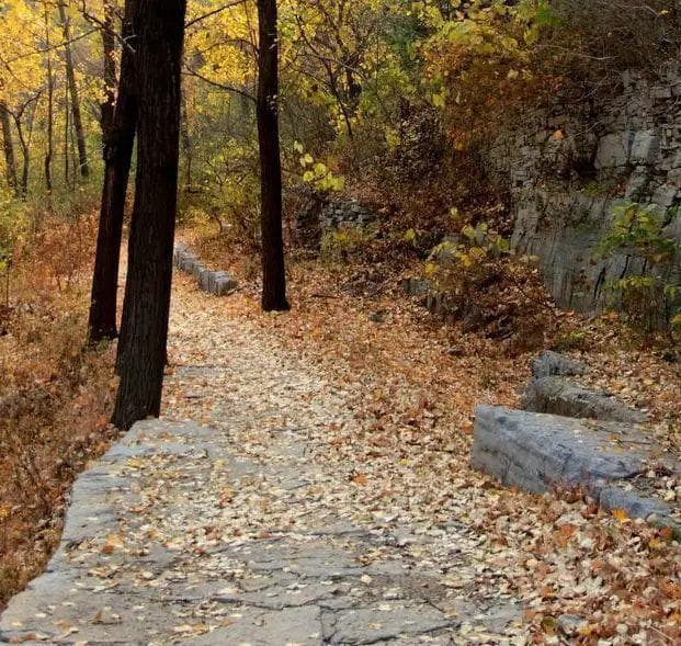 金风红叶，山间踏清秋|三年级上古诗三首，杜牧《山行》详解