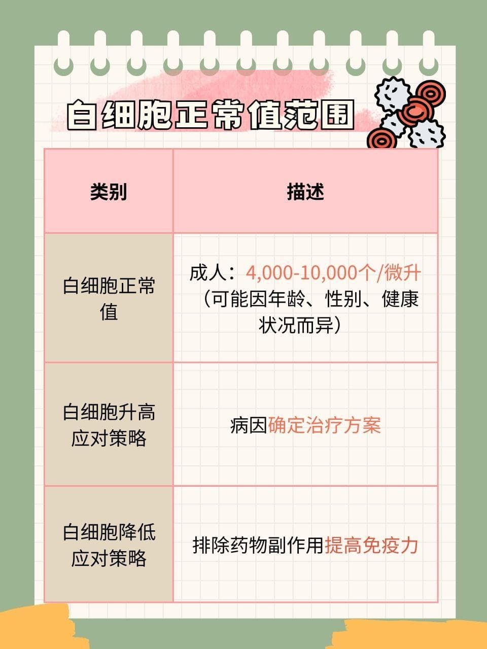 白细胞正常值与异常调理指南