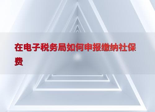企业社保费申报指南：电子税务局操作详解