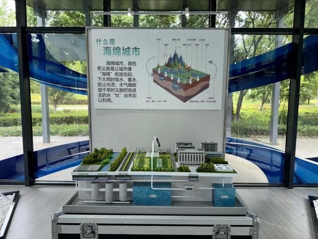 九亭三大亲子活动场所：生态科普、零食文化、自然探索