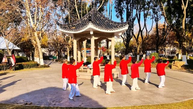 太极拳功夫是练习到了一定的程度后自然而至，绝非刻意索求而来