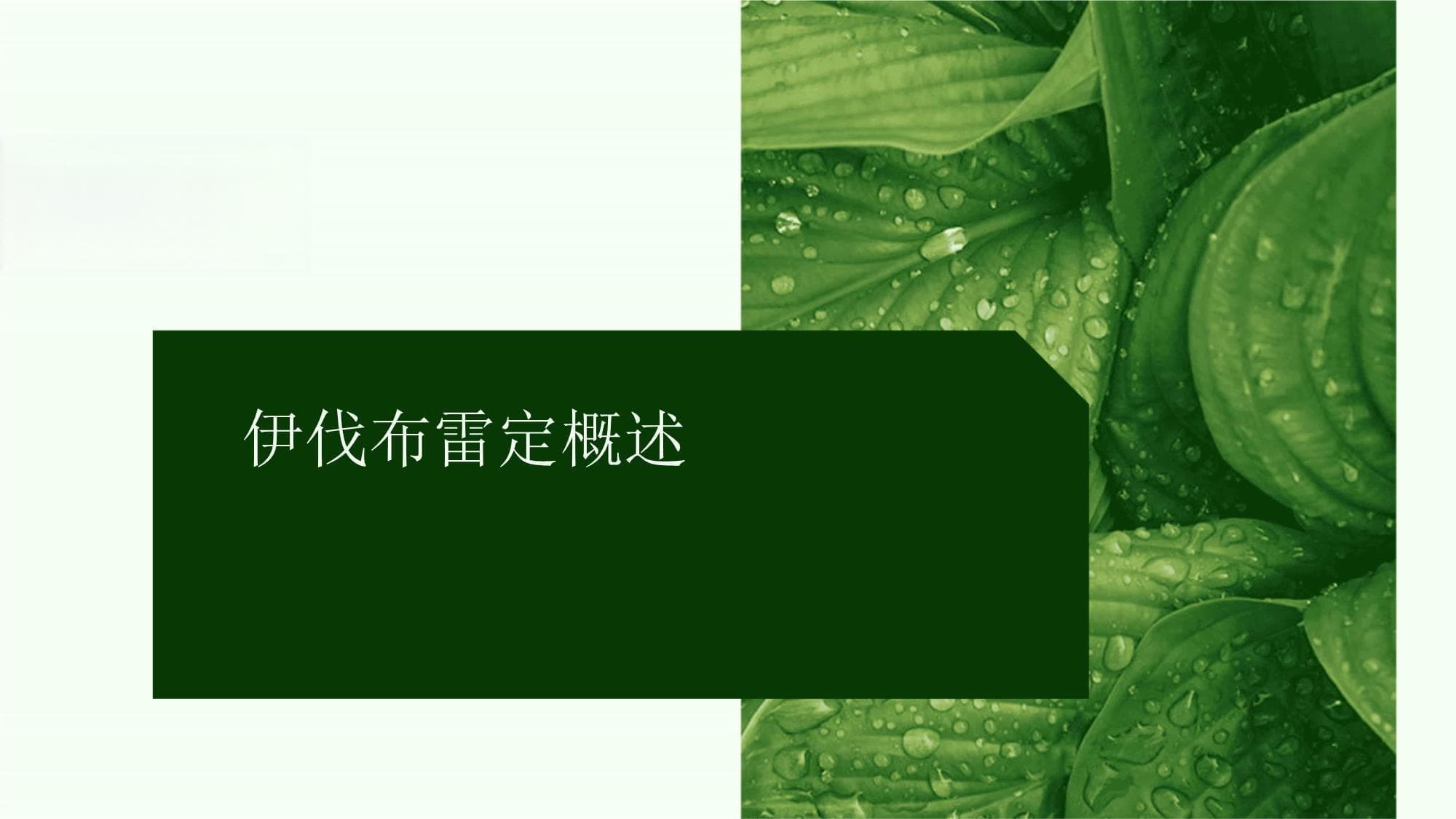 深入探讨伊伐布雷定从机制到临床应用