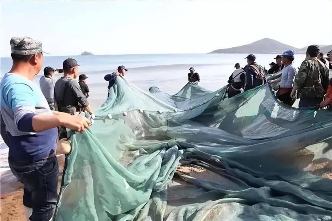 揭秘渔网的工作原理：如何高效捕捞大量鱼类？