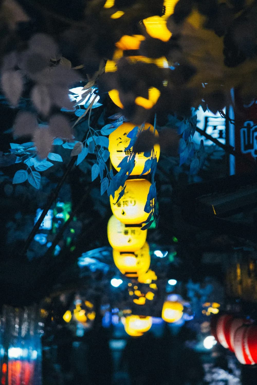 中秋国庆打卡：都江堰花好月圆