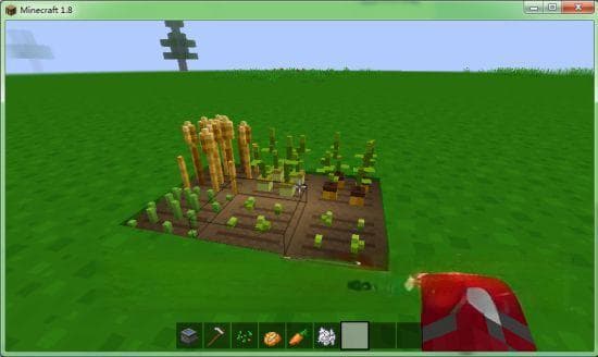 我的世界各农作物种植条件（我的世界怎么加快农作物的生长速度）