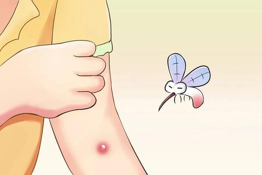 【实用知识】这些中草药的驱蚊效果真的惊艳到你了吗？