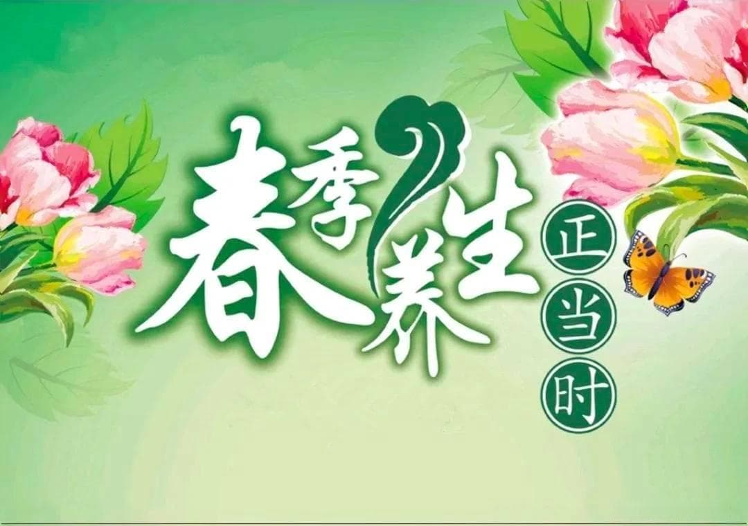 春季养生必备：6道滋补汤品制作全攻略！让身体春意盎然，请收藏