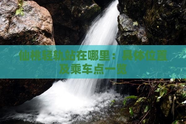 仙桃轻轨站在哪里：具体位置及乘车点一览