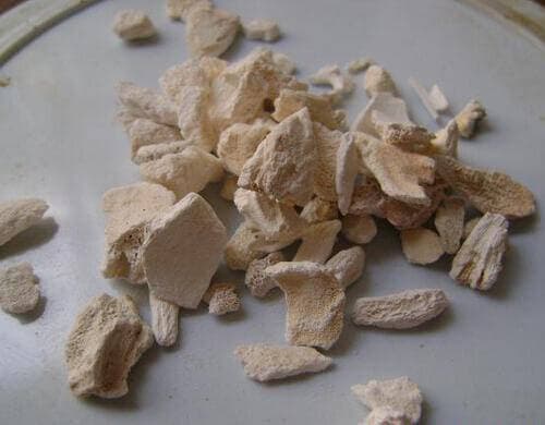 龙骨的功效与作用