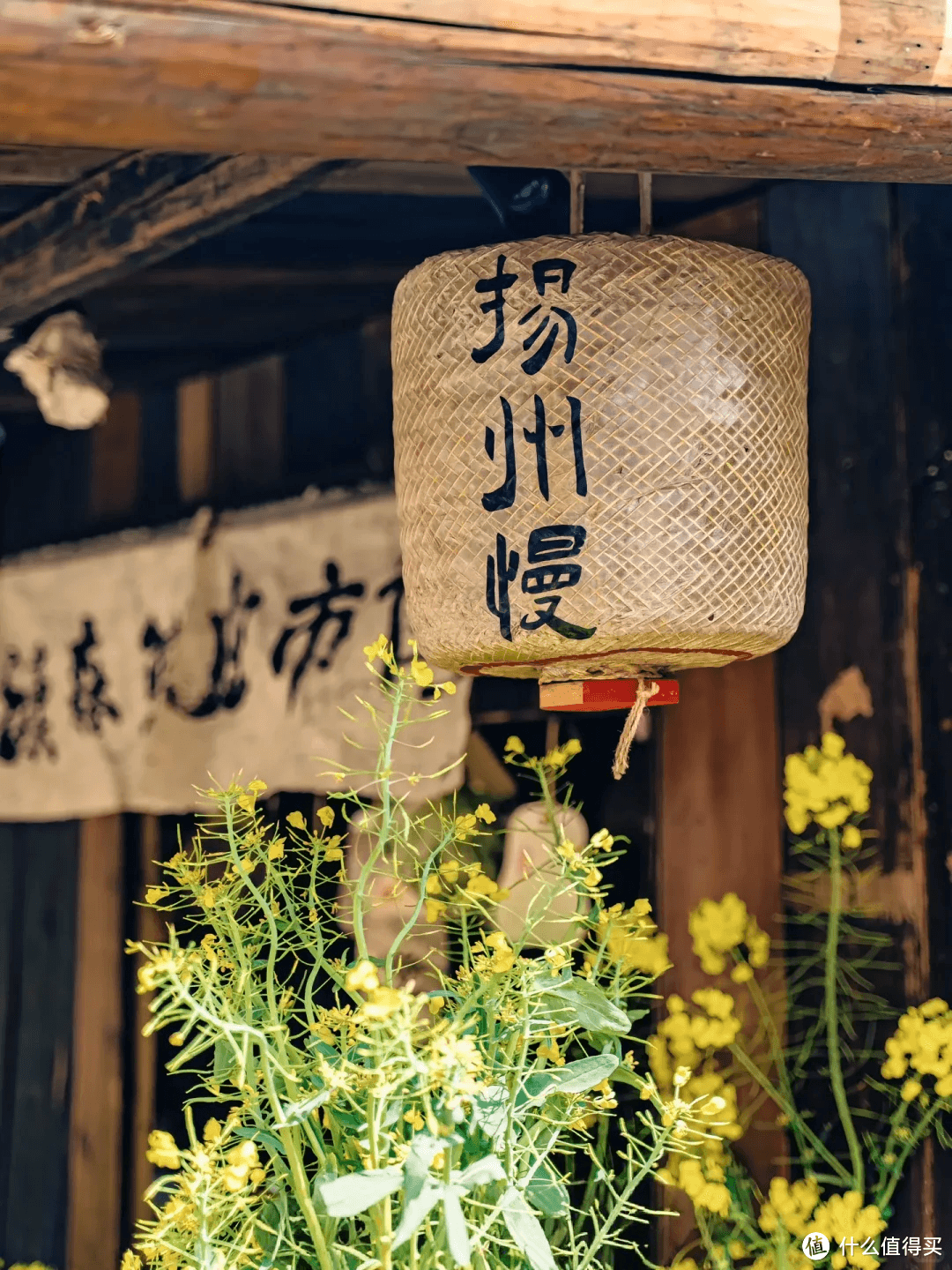 春季邂逅扬州，共赴一场诗意之旅