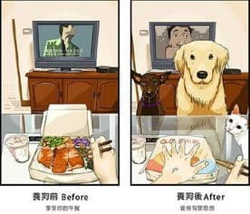 宠物夜不眠？调整环境，安心陪伴！