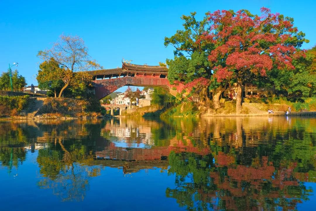 泰顺廊桥：业态盘活焕新彩 传承发展向未来