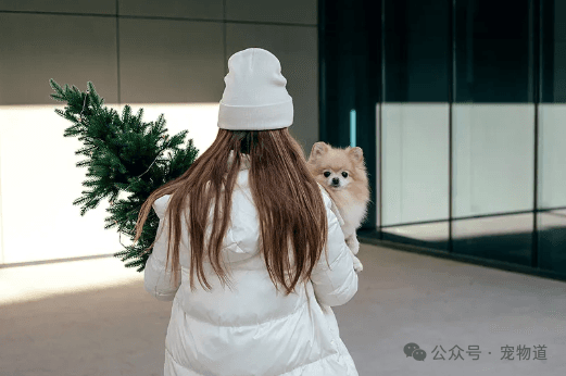 上海要打造的“宠物友好城市”，我们离它还有多远？