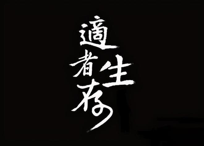 A股：历史或将再次重演，跌到全部股东都套牢了为什么还会跌？