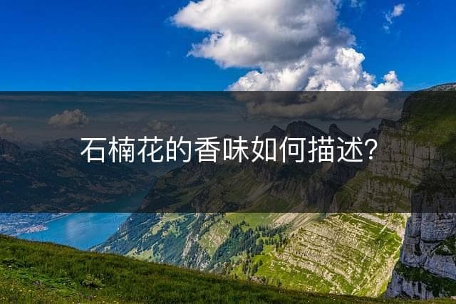 石楠花的香味如何描述？