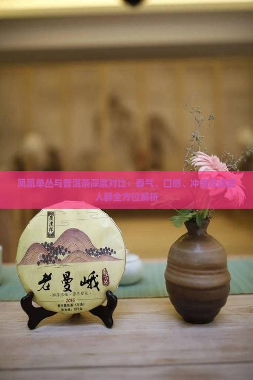 凤凰单丛与普洱茶深度对比：香气、口感、冲泡及适宜人群全方位解析