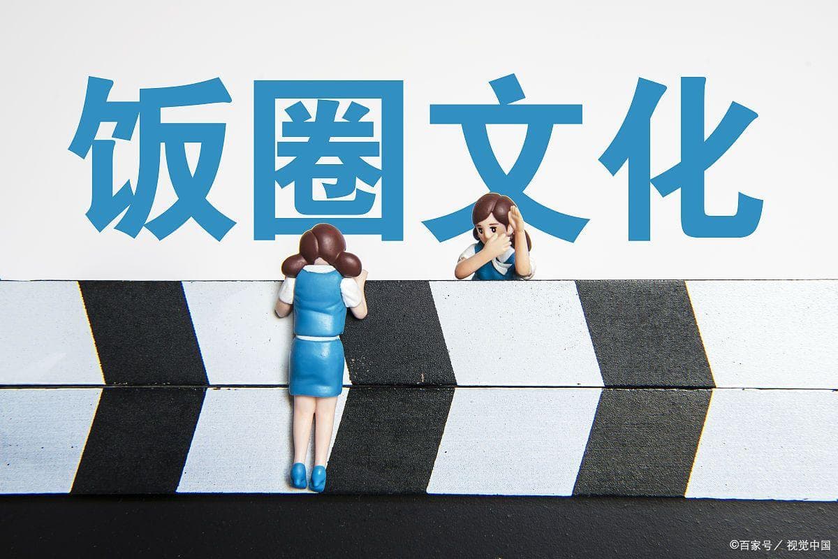 “饭圈”文化：疯狂与理性的边界