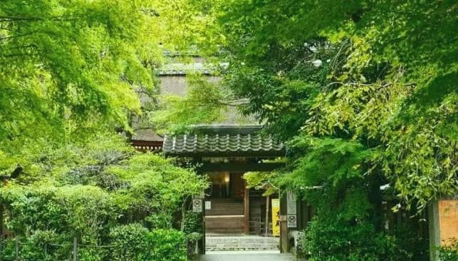 春节日本机票疯涨，贵过欧洲了
