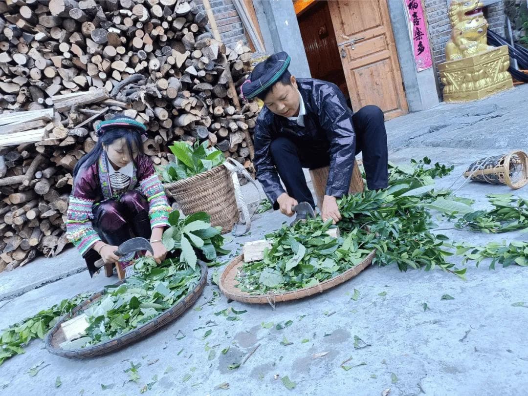 推动民族医药发展，怎么干？