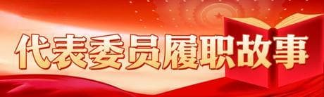 全国政协委员张军扩：聚焦“国之大者” 为经济把脉支招