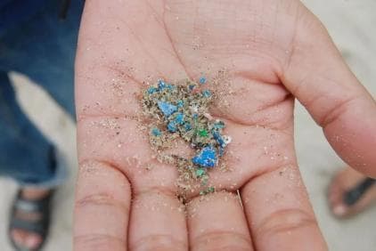 微塑料正快速侵入大脑，研究者称“不寒而栗”