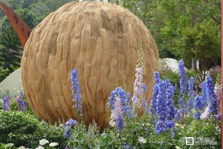 大花飞燕草：花园三剑客之一的植物百科