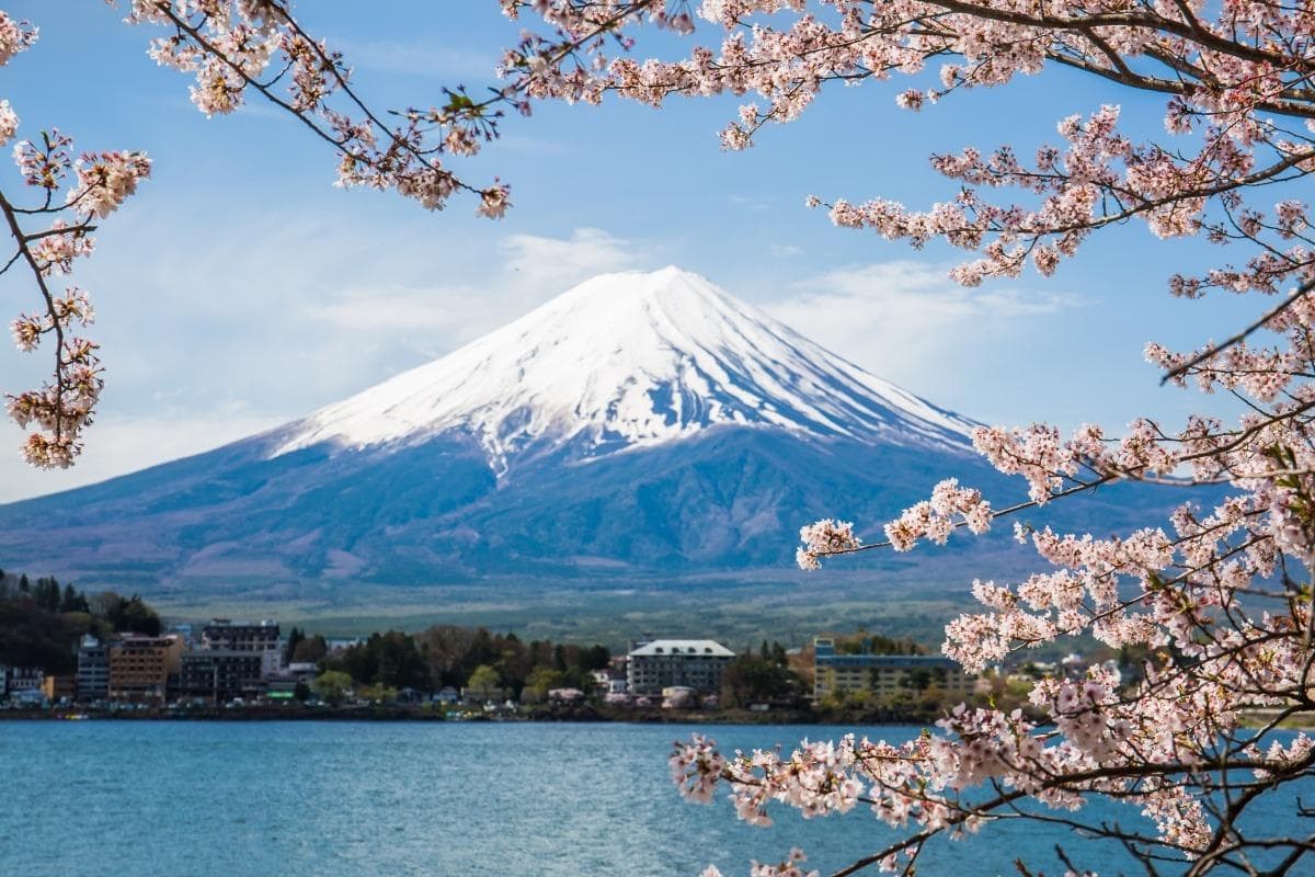 难忘的富士山一日游日本标志性山峰完全指南