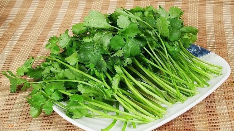 香菜煮水洗脸祛斑真的有效吗？医生来解答