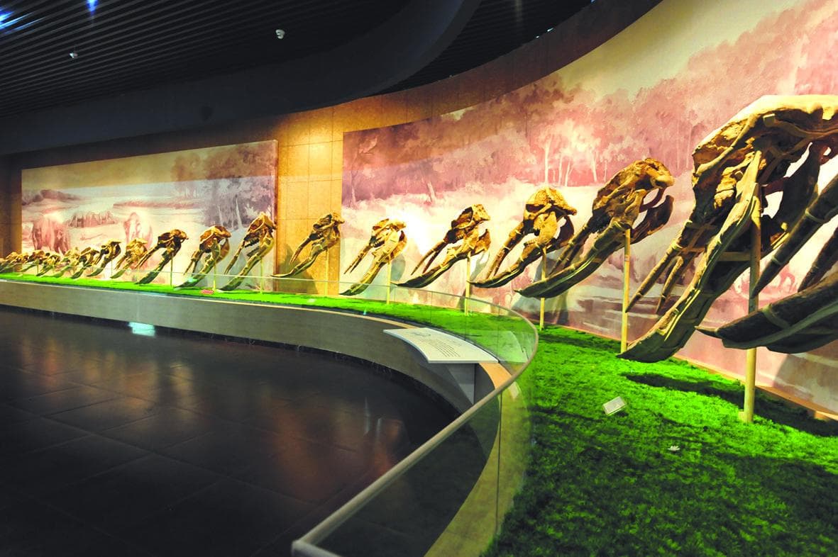 和政古生物化石文化旅游区全力创建国家5A级旅游景区