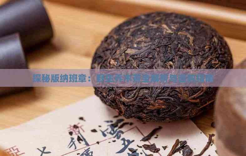 探秘版纳班章：野生乔木茶全解析与选购指南