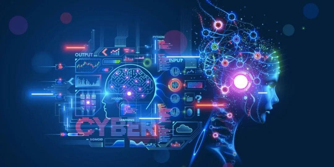 Cell子刊速递：通过时间、空间和信息透镜揭示意识和大脑功能