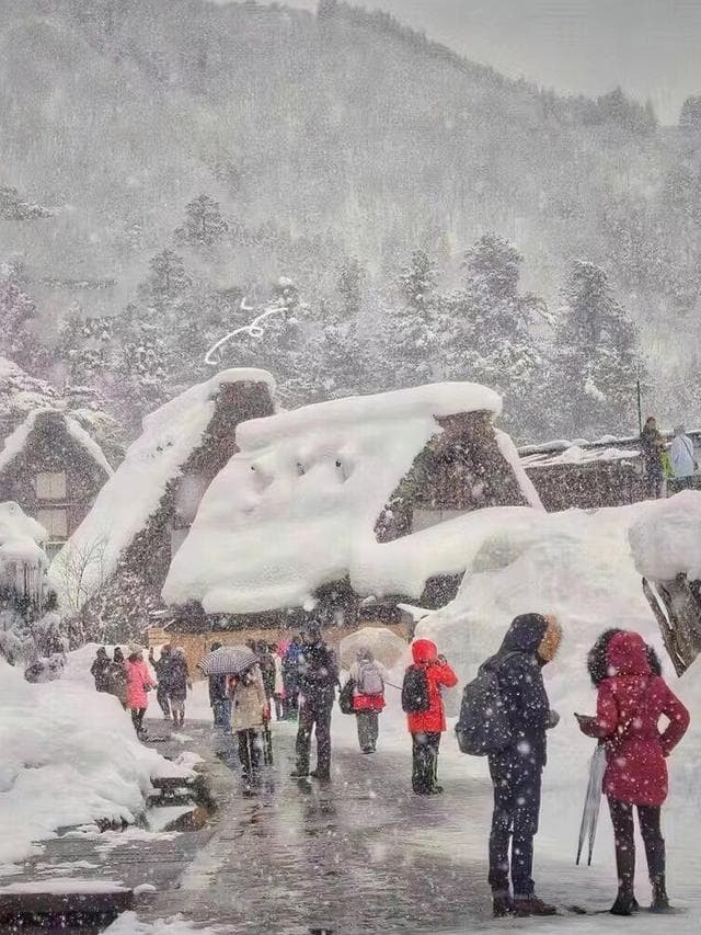 冬日里的白川乡格外的美