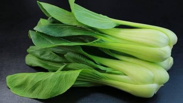 痛风能吃油菜吗