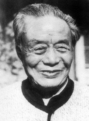 艾青《我爱这土地》：诗歌修改的艺术