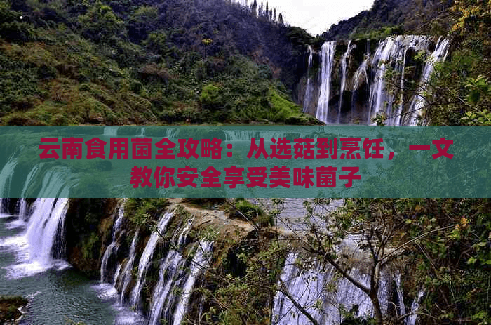 云南食用菌全攻略：从选菇到烹饪，一文教你安全享受美味菌子
