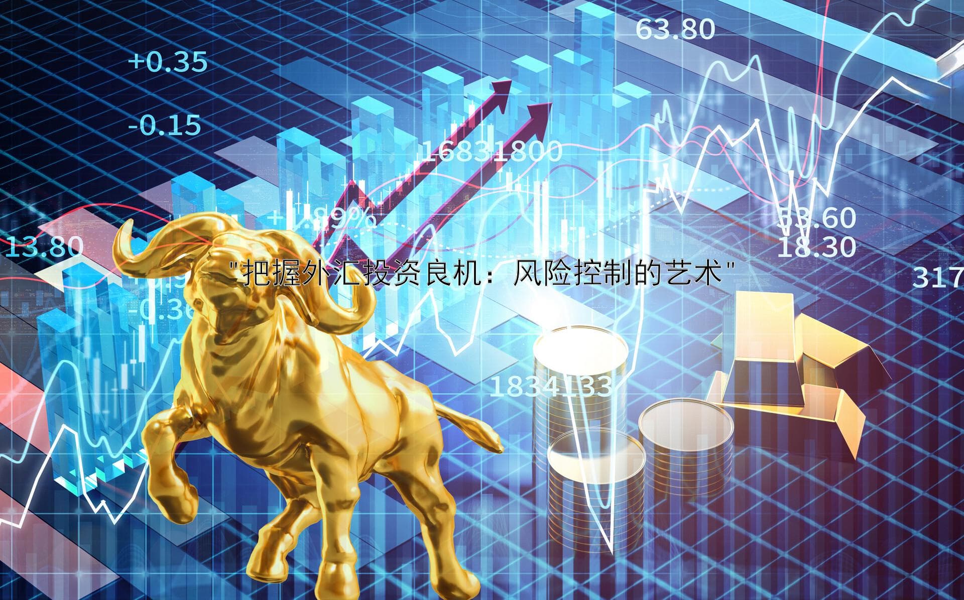 把握外汇投资良机：风险控制的艺术