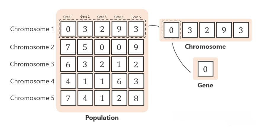 优化算法之手推遗传算法（Genetic Algorithm）的详细步骤图解