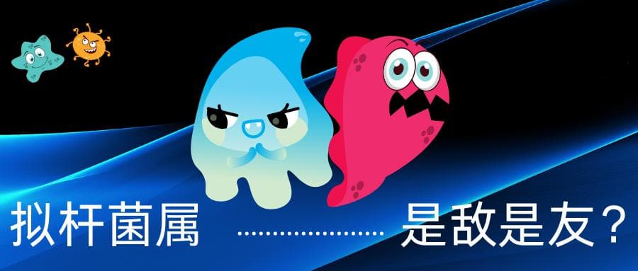 肠道基石菌——拟杆菌属