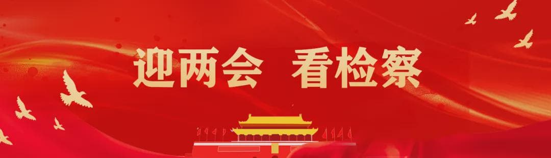 巴中石窟保护迎来新进展：公益诉讼助力千年文化遗产焕发新生