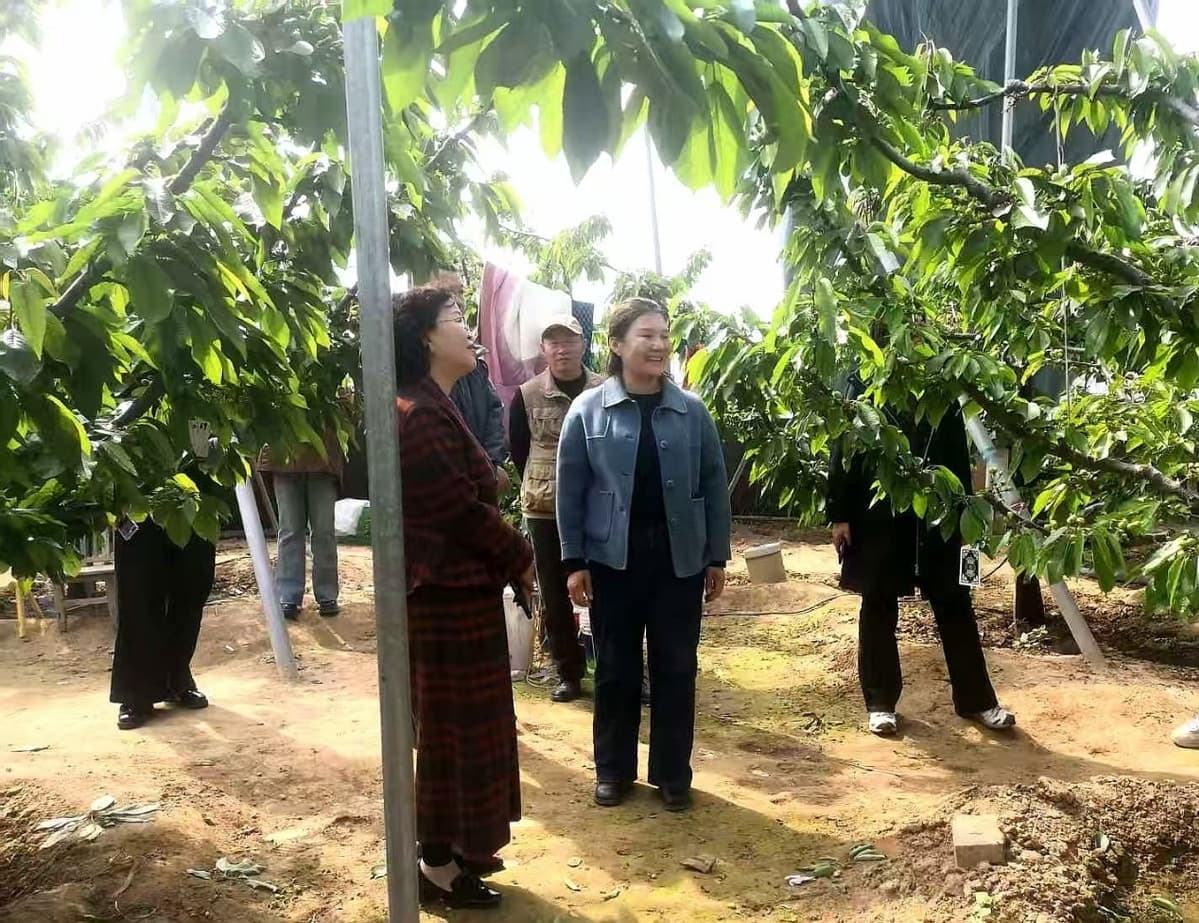 河南台前：特色农产品“火”出圈