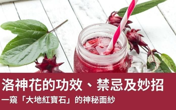 洛神花的功效、禁忌以及实用保健妙招：一窥“大地红宝石”的神秘面纱