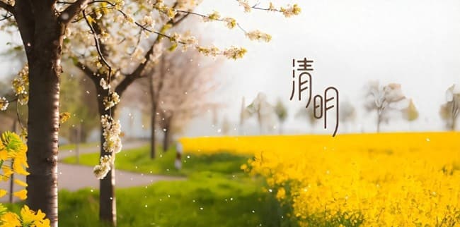 清明节三天假期背后藏着千年冷知识 天文历法与礼制传统交织