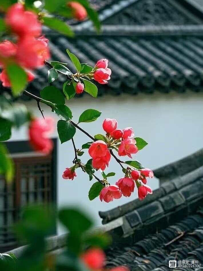五谷养生：从《黄帝内经》到现代营养学的健康智慧