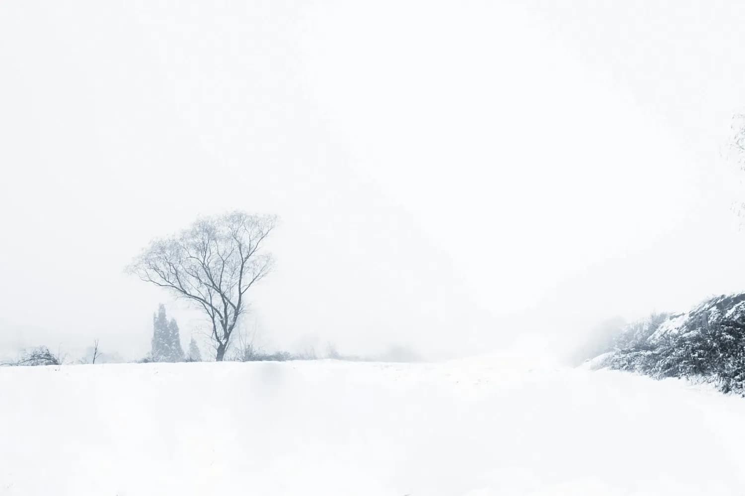 冬季摄影技巧：捕捉冰雪世界的绝美瞬间