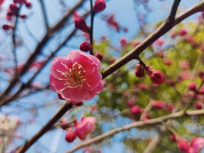 家族传承：二代接班如何巧解家族矛盾？