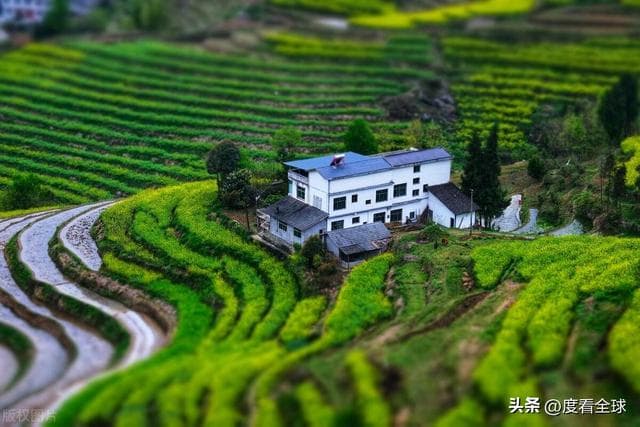 探秘凤堰古梯田：隐匿在秦巴山区的绝美农耕画卷！