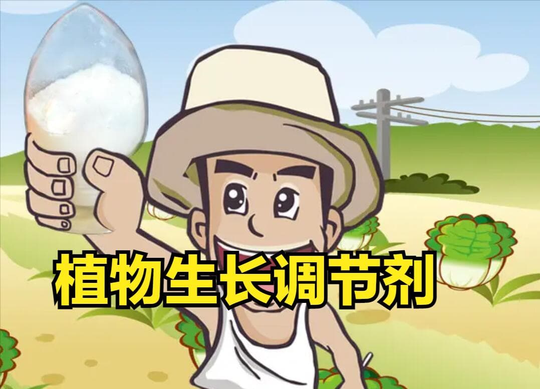 常见植物激素有哪些种类？每类植物激素对作物生长各有哪些作用？